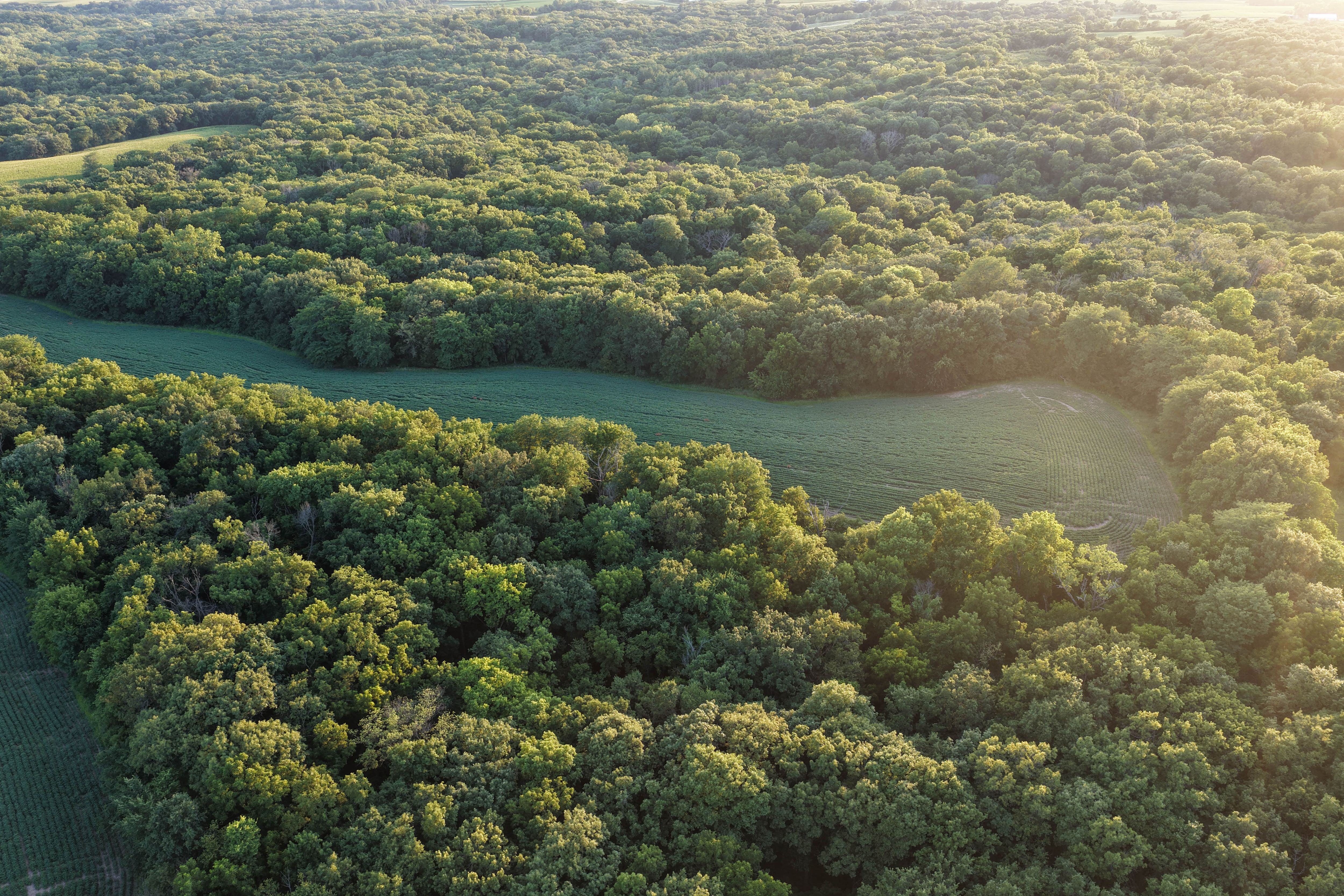 Listing Photo: Whitetail Hunting Farm Mahaska County Iowa-85